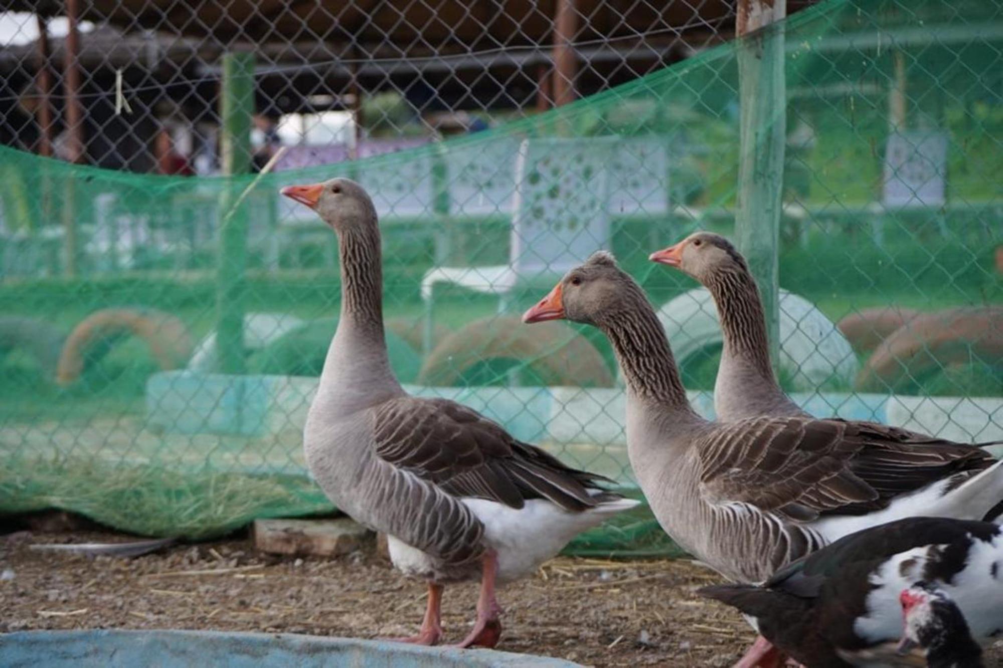 Tétouan La Granjaゲストハウス エクステリア 写真