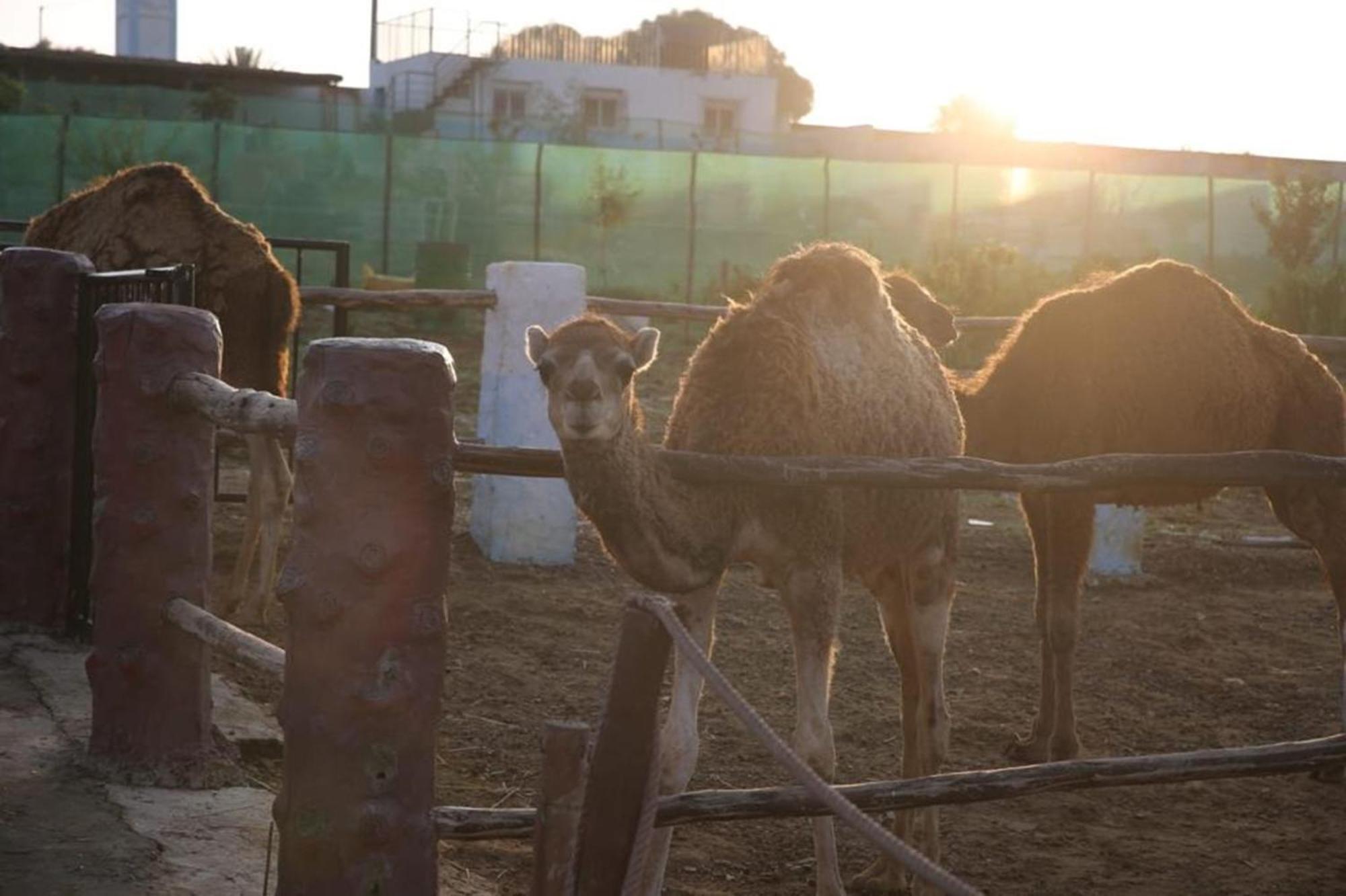 Tétouan La Granjaゲストハウス エクステリア 写真